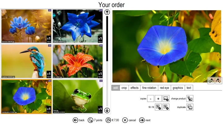 Each image can be adjusted, printed with FIT or FILL option, duplicated and printed in multiple sizes.
