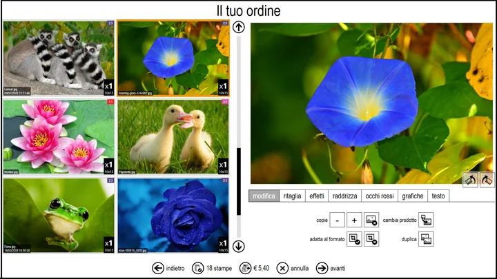 Durante l'ordine è possibile modificare ciascuna foto, scegliere se stamparla in fit o in fill, duplicarla e cambiarne il formato.